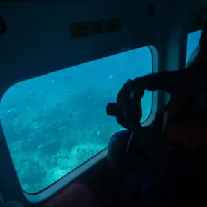 Glass-bottom boat ride in Havelock: A Must Do Activity in Havelock Island