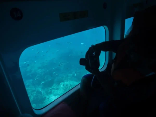 Glass-bottom boat ride in Havelock: A Must Do Activity in Havelock Island