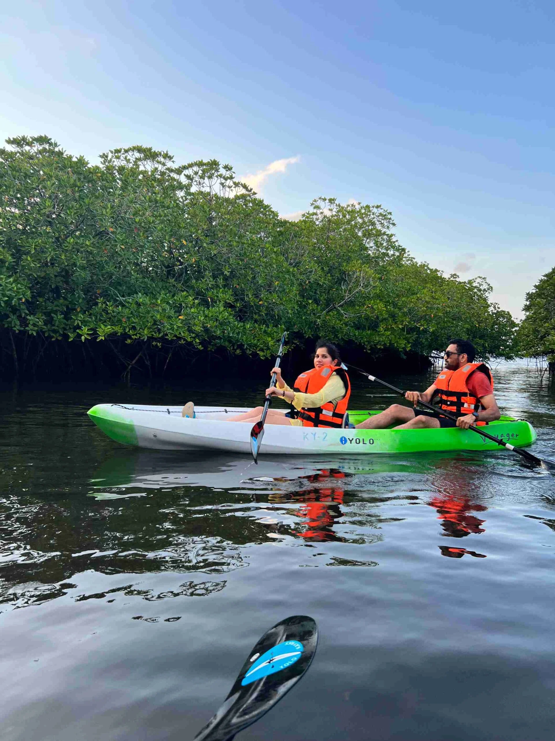 mangroves kayaking in havelock
